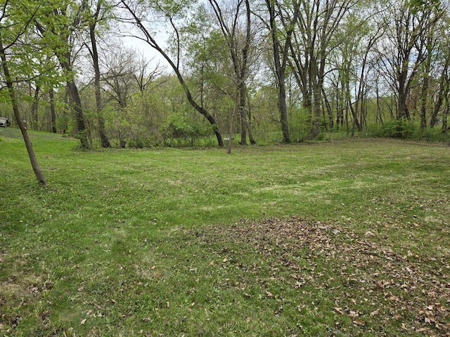 0 Riverview Ave, South Elgin, IL 60177 - photo 2