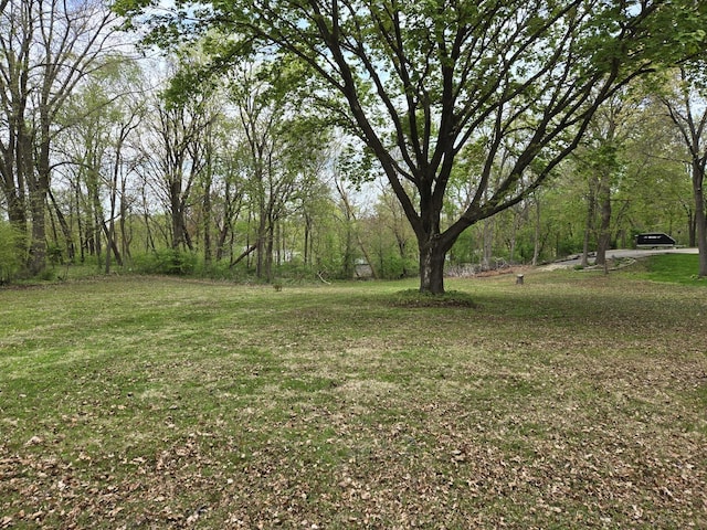 0 Riverview Ave, South Elgin, IL 60177 - photo 3