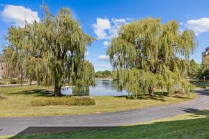 898 Wellington Ave Unit 218, Elk Grove Village, IL 60007 - view of home's community with a water view and a yard