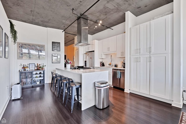 kitchen with appliances with stainless steel finishes, dark wood-type flooring, a sink, and wall chimney exhaust hood