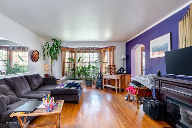 9245 S Justine St, Chicago, IL 60620 - living area featuring wood finished floors, crown molding, arched walkways, and a glass covered fireplace