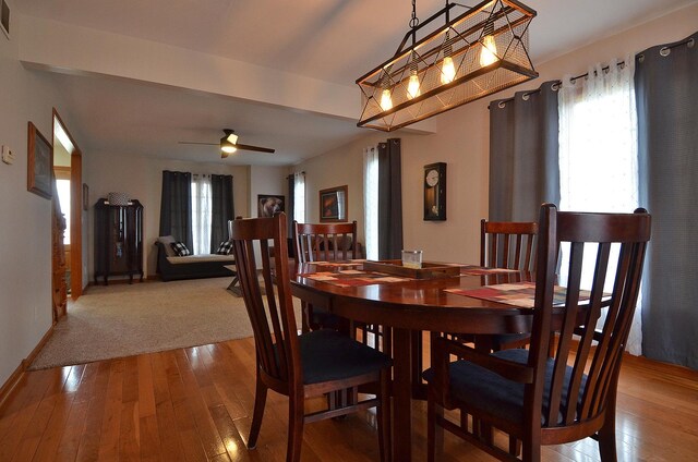 dining room with plenty of natural light, hardwood / wood-style floors, and ceiling fan