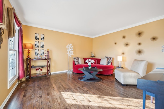 living area with wood finished floors, ornamental molding, and baseboards