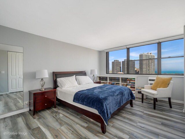 bedroom featuring wood finished floors, a city view, and baseboards