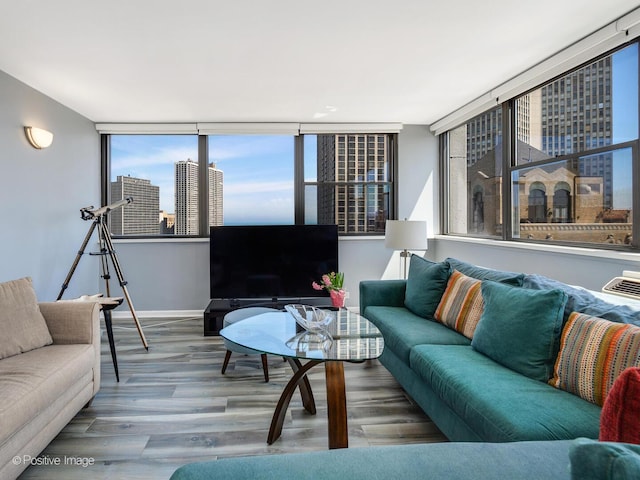 living area featuring wood finished floors and baseboards