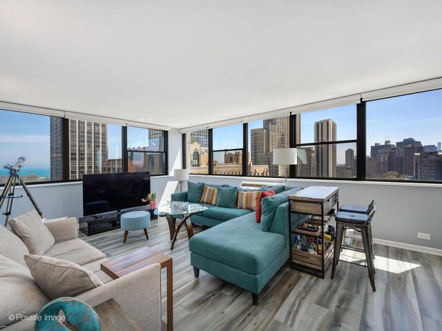 living room with wood finished floors and baseboards