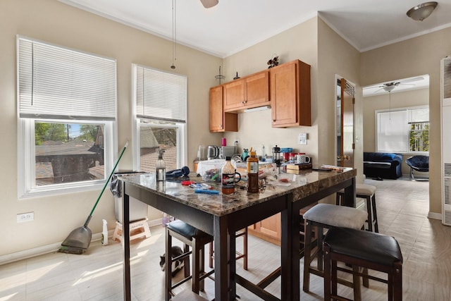 1443 W 49th Pl, Chicago, IL 60609 - kitchen with a ceiling fan, healthy amount of natural light, crown molding, and baseboards
