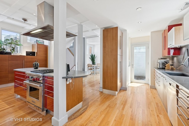 1534 W Henderson St, Chicago, IL 60657 - kitchen with premium stove, island exhaust hood, a sink, light wood-style floors, and dishwasher