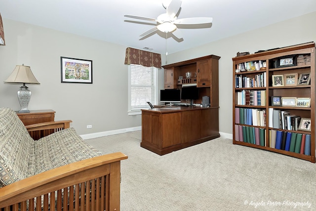 75 N Lake Ave, Third Lake, IL 60030 - office with a ceiling fan, light carpet, and baseboards