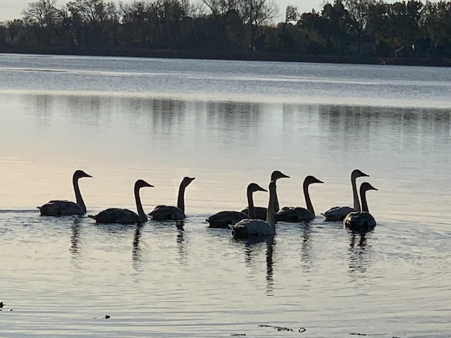 75 N Lake Ave, Third Lake, IL 60030 - water view