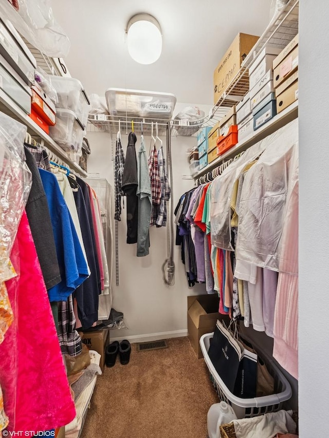 751 Sterling Ct Unit D1, Bartlett, IL 60103 - walk in closet featuring carpet floors