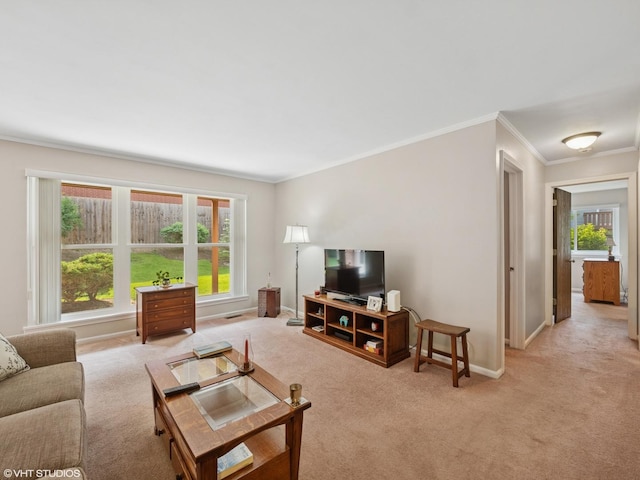 751 Sterling Ct Unit D1, Bartlett, IL 60103 - living room featuring ornamental molding and light carpet