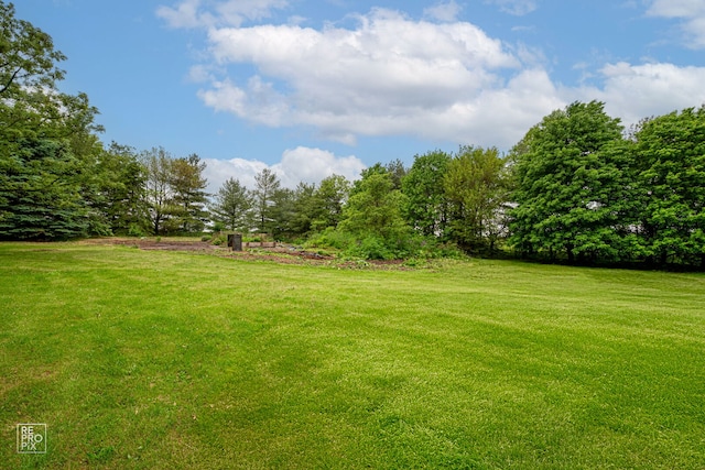 12130 179th St, Mokena, IL 60448 - photo 45