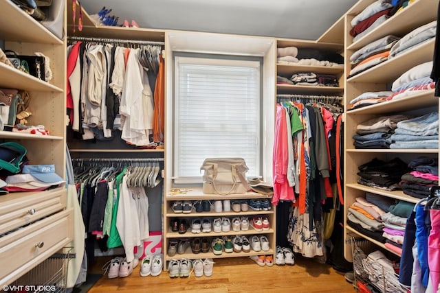 816 S Hamlin Ave, Park Ridge, IL 60068 - walk in closet with wood finished floors