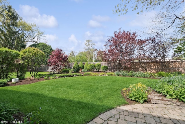 816 S Hamlin Ave, Park Ridge, IL 60068 - view of yard