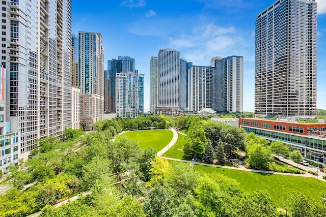 225 N Columbus Dr Unit 6305, Chicago, IL 60601 - view of city