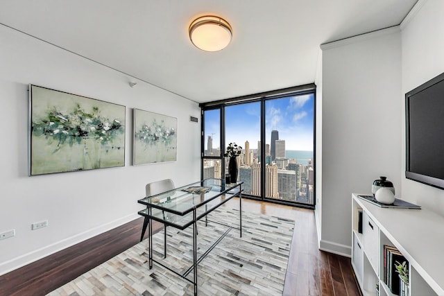 225 N Columbus Dr Unit 6305, Chicago, IL 60601 - office area with wood finished floors, baseboards, and a wall of windows