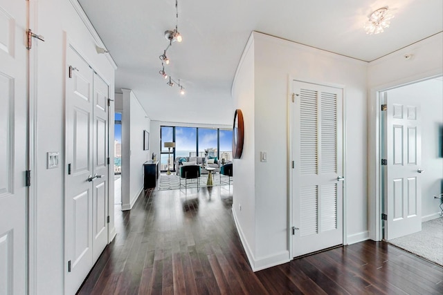 225 N Columbus Dr Unit 6305, Chicago, IL 60601 - hall with dark wood-style floors, baseboards, and rail lighting