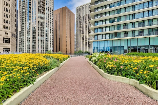 225 N Columbus Dr Unit 6305, Chicago, IL 60601 - view of community