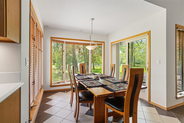 3262 Greenwood Dr, Dewey, IL 61840 - dining space featuring baseboards and light tile patterned floors