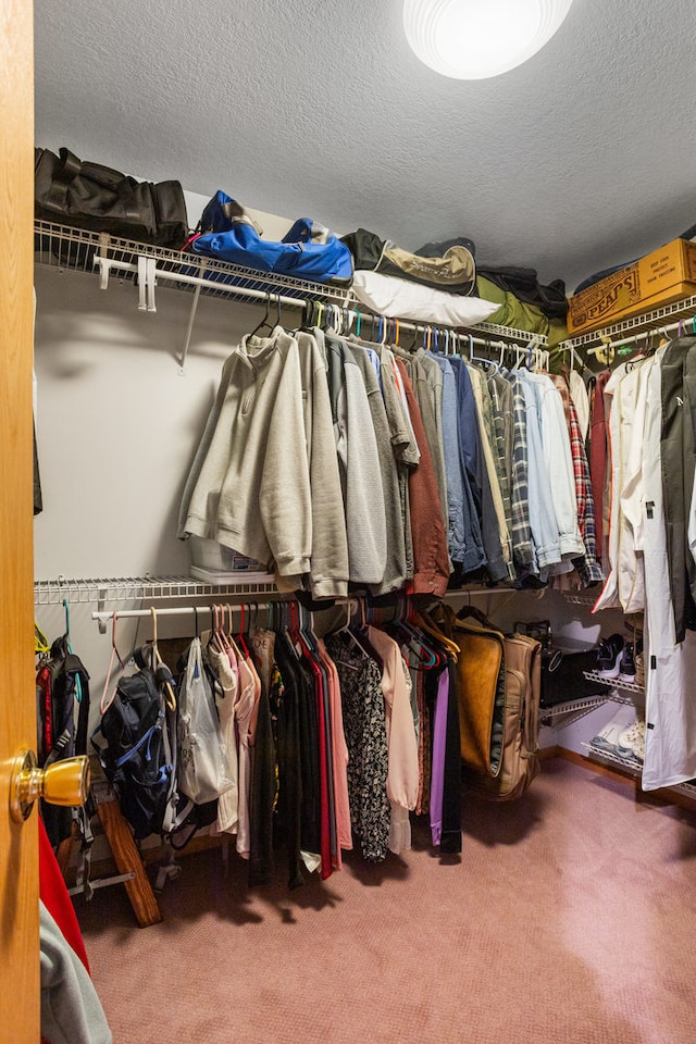 3262 Greenwood Dr, Dewey, IL 61840 - walk in closet featuring carpet