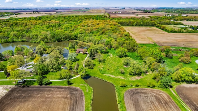 3262 Greenwood Dr, Dewey, IL 61840 - bird's eye view of a large body of water
