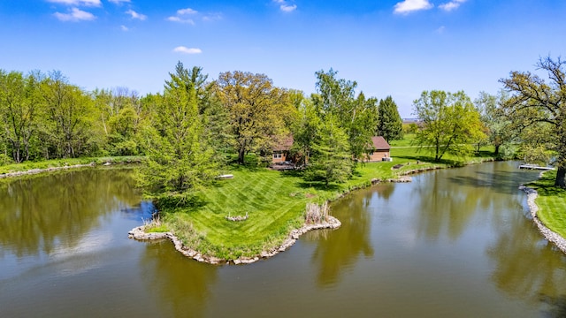 3262 Greenwood Dr, Dewey, IL 61840 - water view with a forest