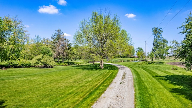3262 Greenwood Dr, Dewey, IL 61840 - view of property's community featuring a yard
