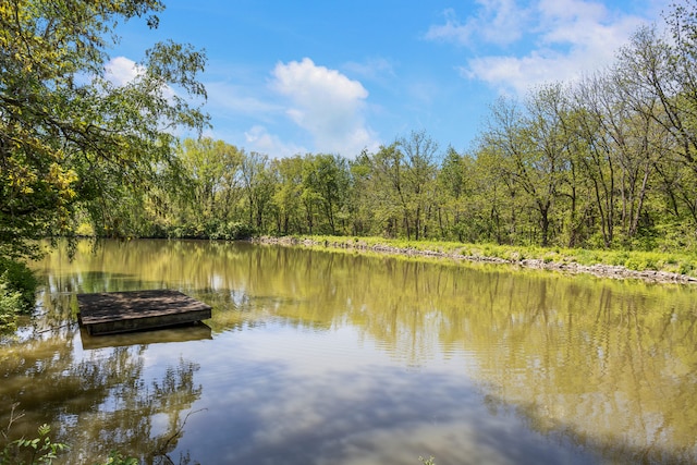 3262 Greenwood Dr, Dewey, IL 61840 - water view with a heavily wooded area and a dock