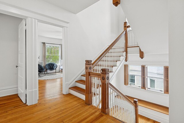 stairs featuring wood finished floors