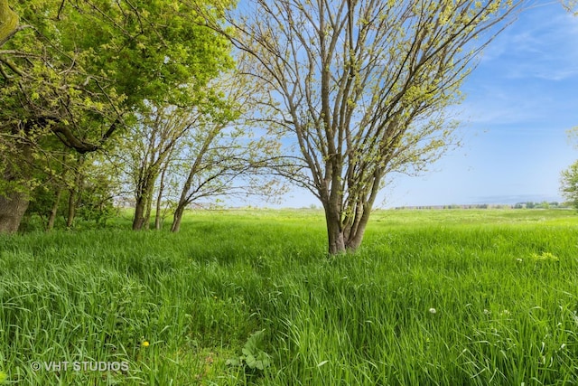 921 Eineke Blvd, Algonquin, IL 60102 - view of local wilderness