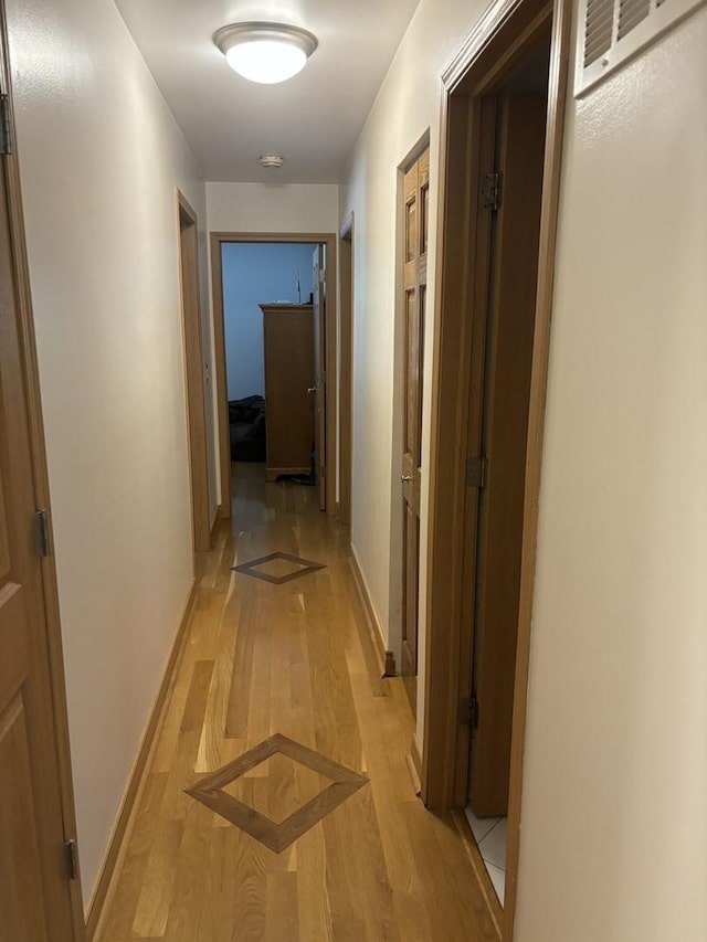 3991 Whispering Trails Dr, Hoffman Estates, IL 60192 - hall with light wood-style floors and baseboards