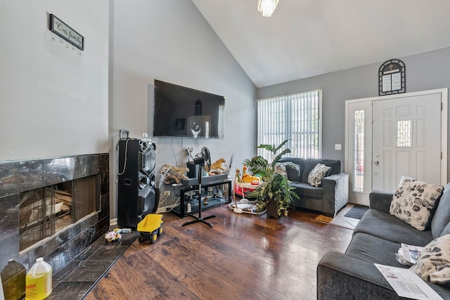 260-262 Chaparral Cir, Elgin, IL 60120 - living area featuring wood finished floors, high vaulted ceiling, and a high end fireplace