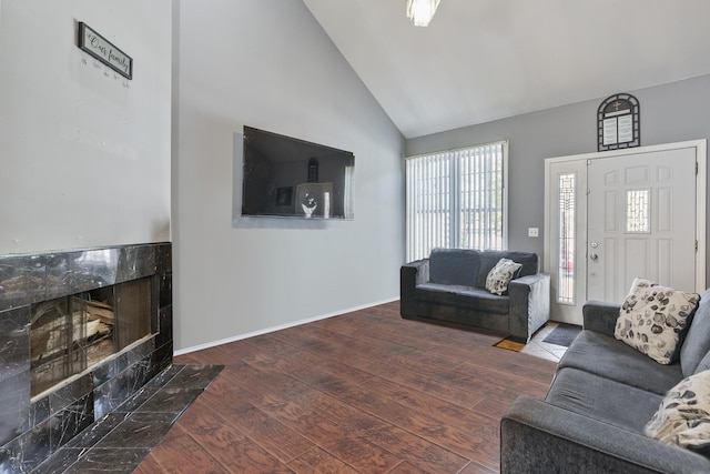 260-262 Chaparral Cir, Elgin, IL 60120 - living room with wood finished floors, high vaulted ceiling, and a high end fireplace