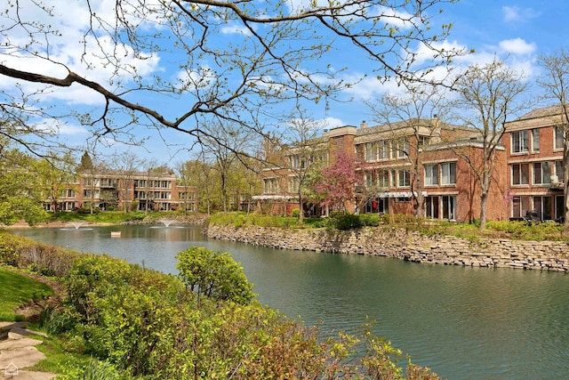 6040 Arbor Ln Unit 102, Northfield, IL 60093 - water view