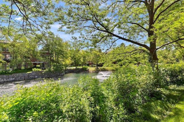 6040 Arbor Ln Unit 102, Northfield, IL 60093 - water view