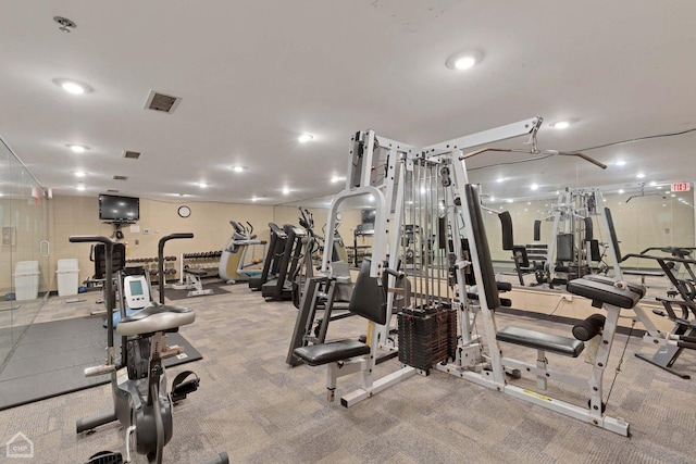 6040 Arbor Ln Unit 102, Northfield, IL 60093 - workout area featuring carpet floors