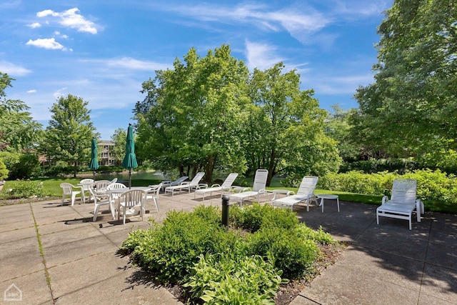 6040 Arbor Ln Unit 102, Northfield, IL 60093 - view of patio featuring view of scattered trees