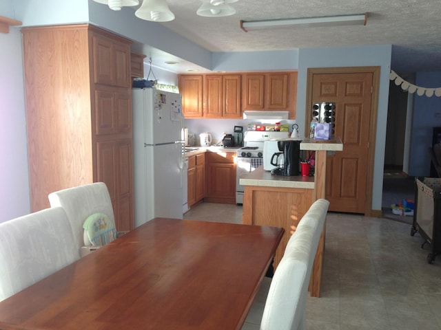 2210 E Michigan Ave, Urbana, IL 61802 - kitchen with white appliances, light countertops, under cabinet range hood, a peninsula, and a textured ceiling