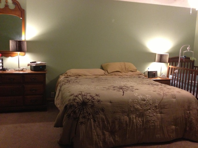 2210 E Michigan Ave, Urbana, IL 61802 - bedroom with carpet flooring