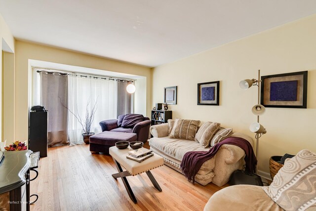 8724 S Jeffery Blvd, Chicago, IL 60617 - living room featuring light wood-style flooring