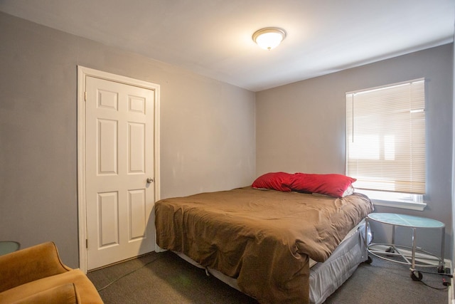 12435 S Perry Ave, Chicago, IL 60628 - bedroom with carpet flooring