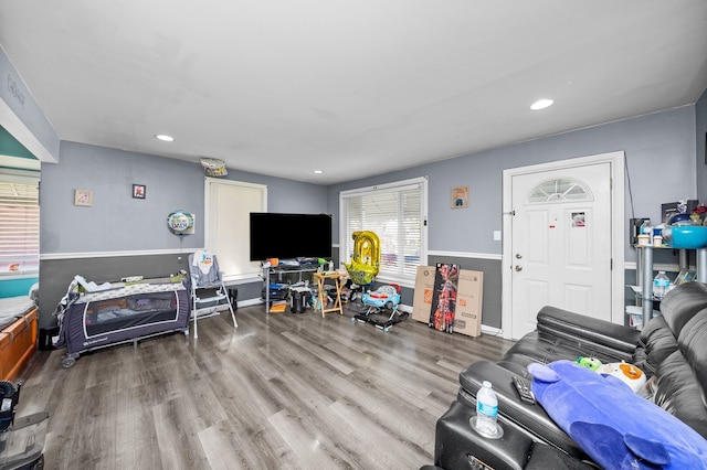 living room featuring wood finished floors and recessed lighting