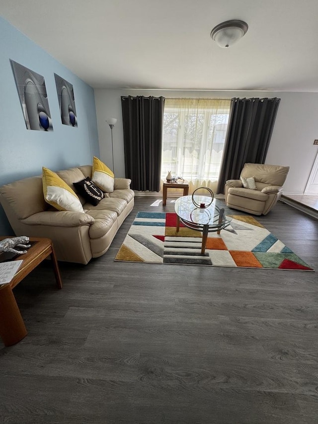 living room featuring wood finished floors