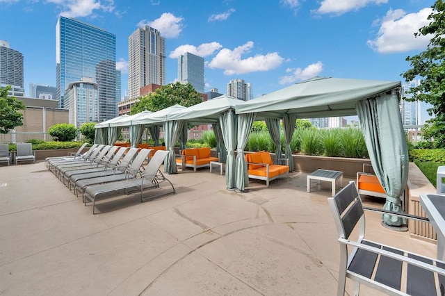 545 N Dearborn St Unit 1203, Chicago, IL 60654 - photo 36