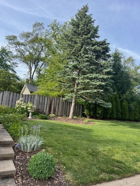 1045 S Grace St, Lombard, IL 60148 - view of yard