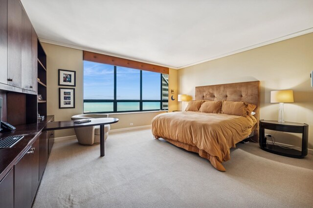 180 E Pearson St Unit 3701, Chicago, IL 60611 - photo 20