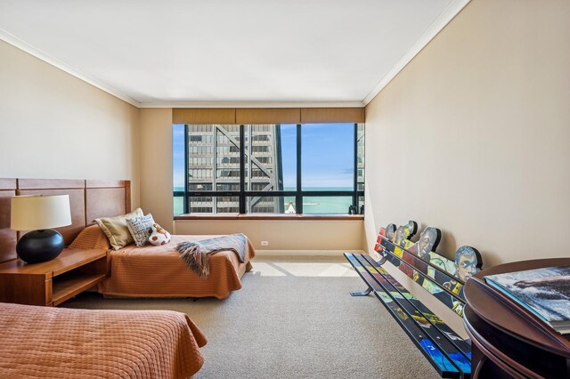 180 E Pearson St Unit 3701, Chicago, IL 60611 - photo 24
