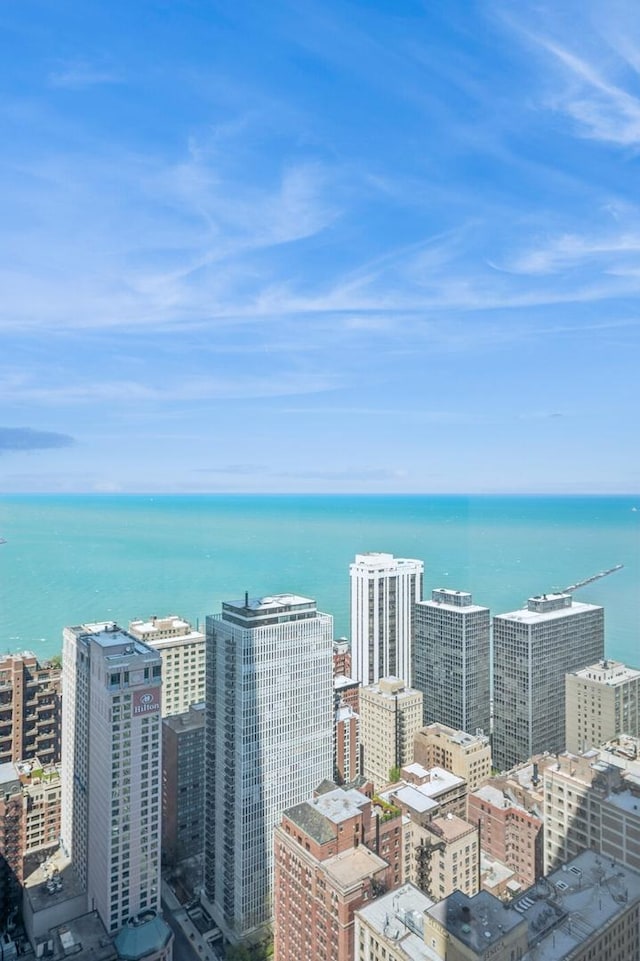 180 E Pearson St Unit 3701, Chicago, IL 60611 - photo 29