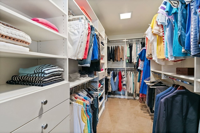 660 Plum Tree Dr, Barrington Hills, IL 60010 - spacious closet with carpet flooring